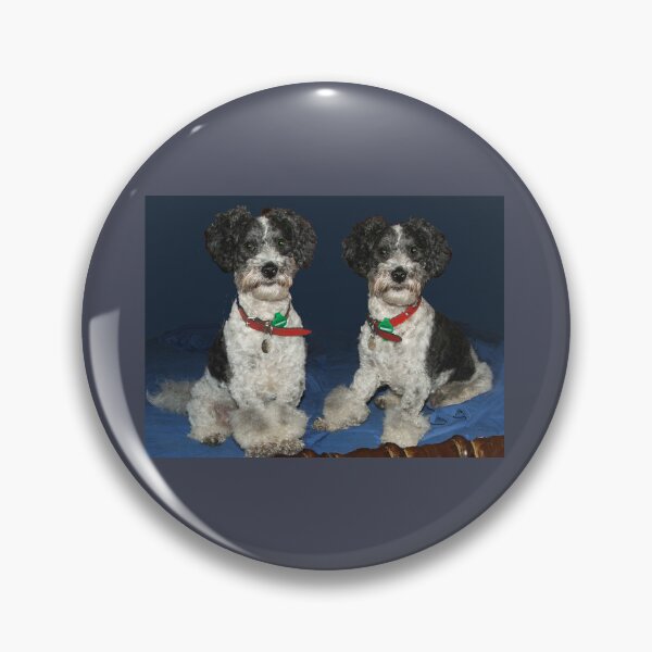 Item preview, Benny - Photography by Avril Thomas designed and sold by AvrilThomasart.