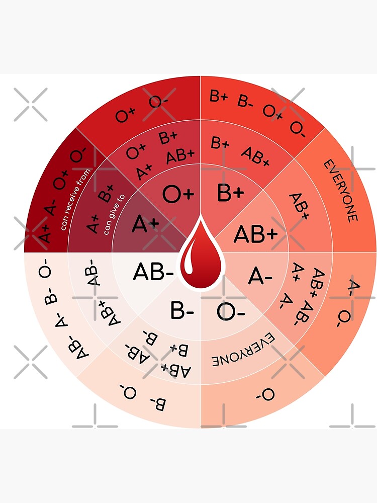 "Blood Type Wheel - Compatibility Chart" Poster For Sale By MayumiArt ...