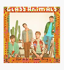 Glass Animals How To Be A Human Being Photographic Print