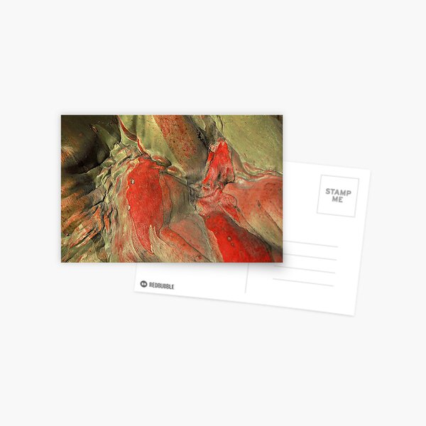 Snow Gum Detail Postcard