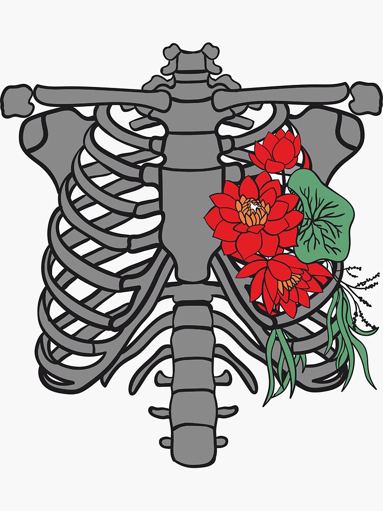 "Copy of Ribcage Rib Cage Anatomy Skeleton Eucaliptus Leaves" Sticker