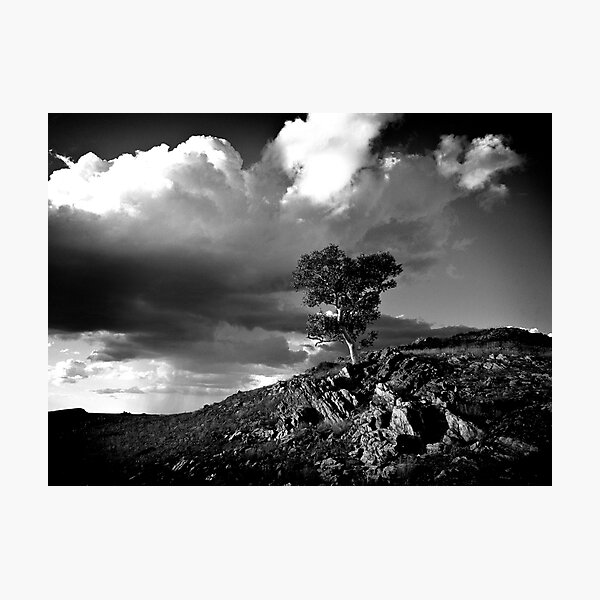 Pilbara Scene Photographic Print