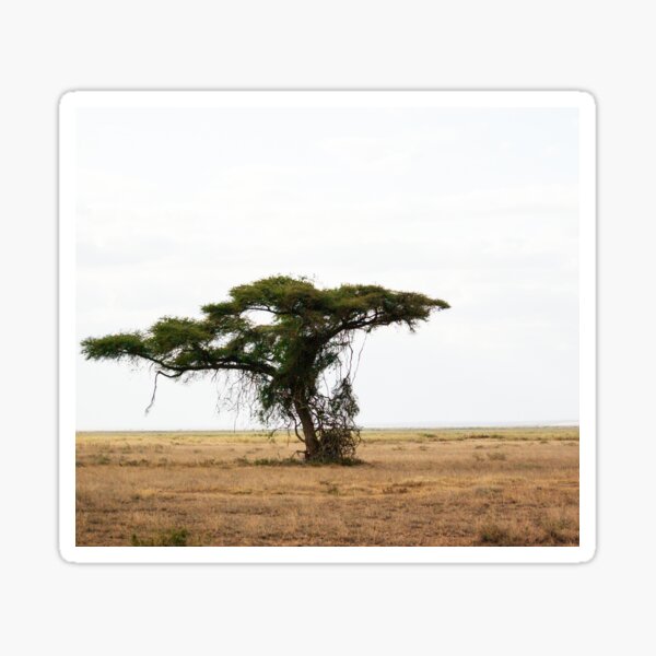 Item preview, Lone Tree designed and sold by CactusOctopus.