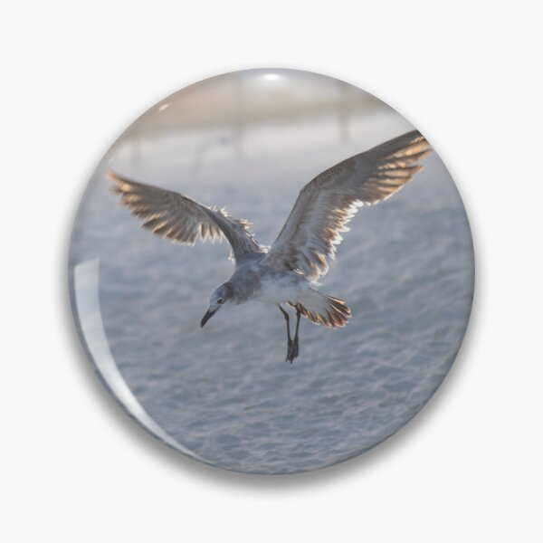 Item preview, young seagull designed and sold by sarelitay.