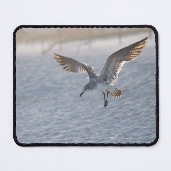 Item preview, young seagull designed and sold by sarelitay.