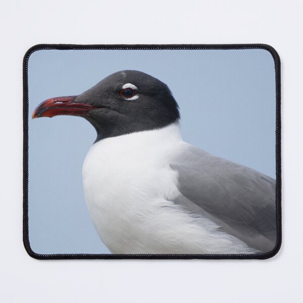 Item preview, seagull designed and sold by sarelitay.