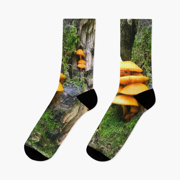Item preview, Photo of Northern Michigan Mushrooms designed and sold by JahSunny.
