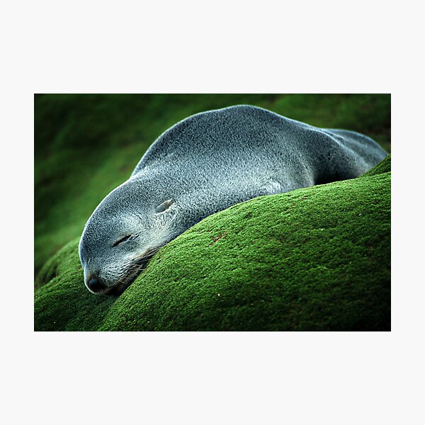 Flat Out Photographic Print