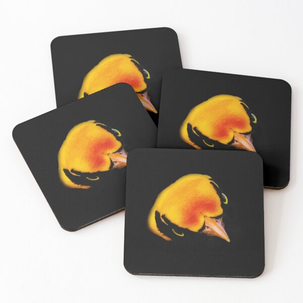 Item preview, Male Regent Bowerbird designed and sold by Adrian Alford Photography.