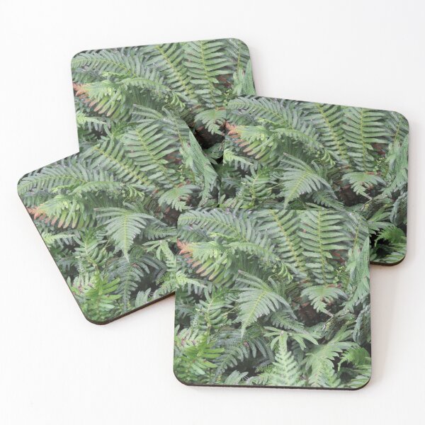 Item preview, BBG Ferns designed and sold by Genevieve Hanlon Art and Photography.