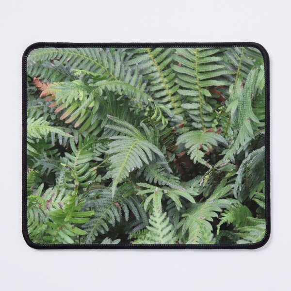 Item preview, BBG Ferns designed and sold by Genevieve Hanlon Art and Photography.