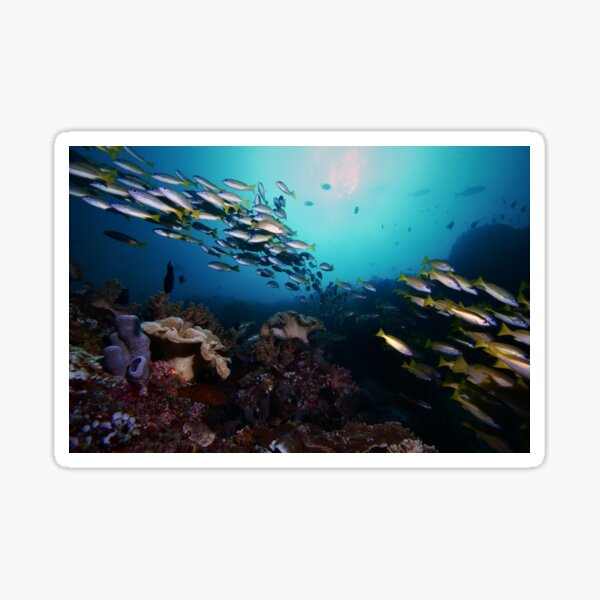 Endless Reefscape Sticker