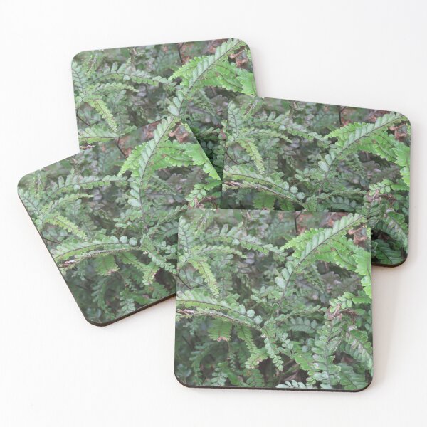 Item preview, BBG Frondy Ferns 2 designed and sold by Genevieve Hanlon Art and Photography.