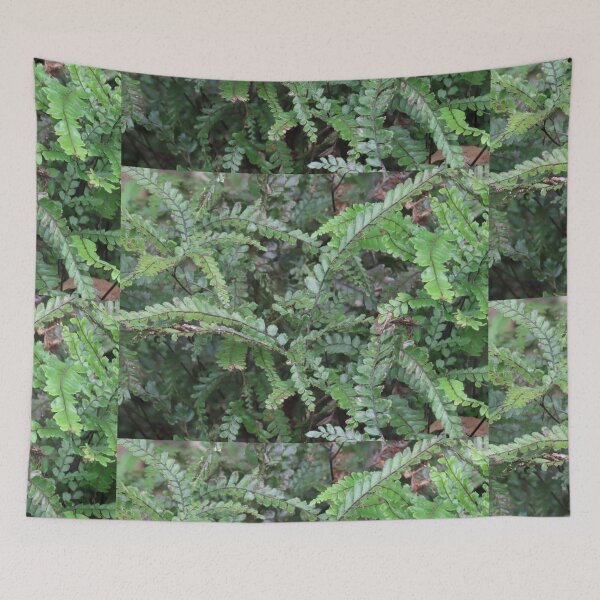 Item preview, BBG Frondy Ferns 2 designed and sold by Genevieve Hanlon Art and Photography.