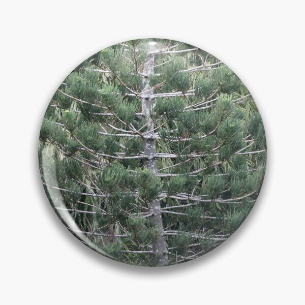 Item preview, BBG Pine designed and sold by Genevieve Hanlon Art and Photography.