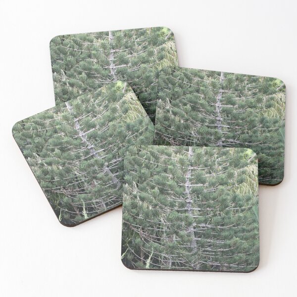 Item preview, BBG Pine designed and sold by Genevieve Hanlon Art and Photography.