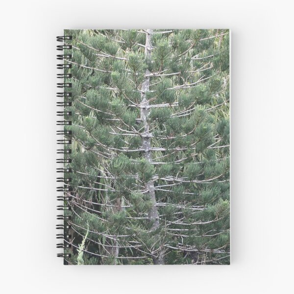 Item preview, BBG Pine designed and sold by Genevieve Hanlon Art and Photography.