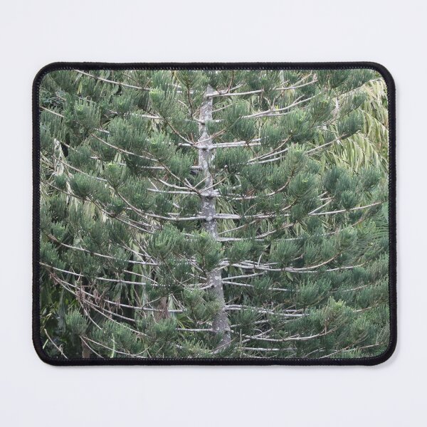 Item preview, BBG Pine designed and sold by Genevieve Hanlon Art and Photography.