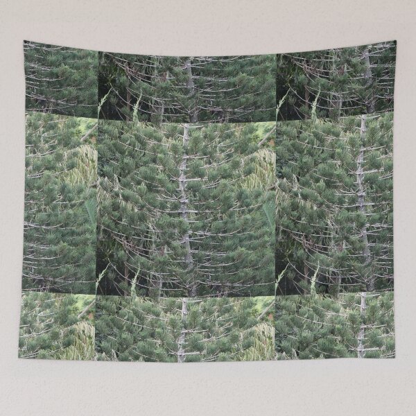 Item preview, BBG Pine designed and sold by Genevieve Hanlon Art and Photography.