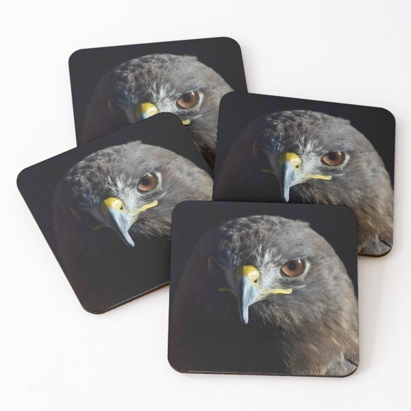 Item preview, Dramatic Hawk on Black designed and sold by richardbryce.
