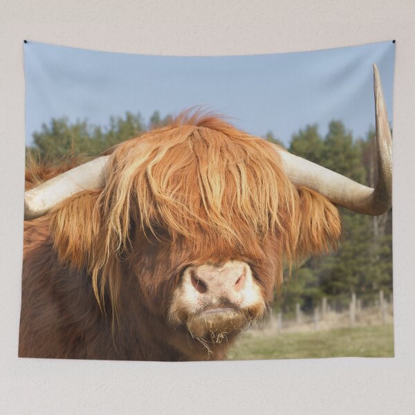 Item preview, Shaggy-Haired Highland Cow designed and sold by rawshutterbug.