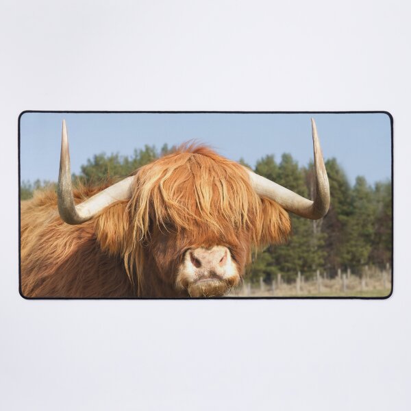 Item preview, Shaggy-Haired Highland Cow designed and sold by rawshutterbug.