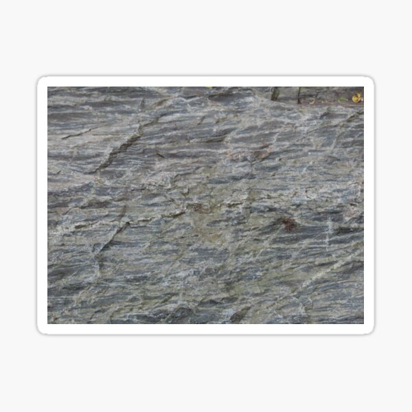 Item preview, Rockface, Brisbane Botanic Gardens designed and sold by Genevieve Hanlon Art and Photography.