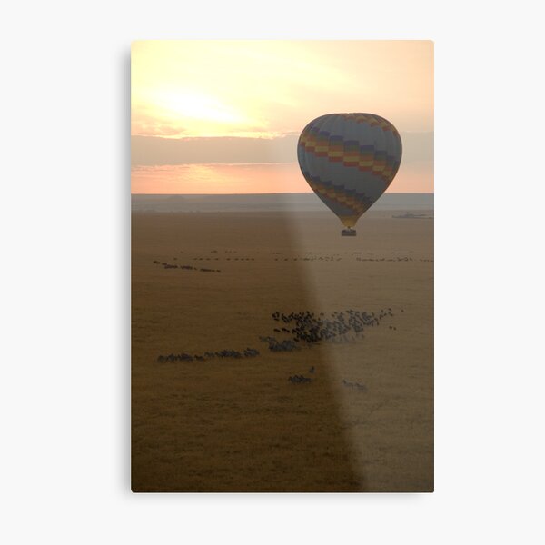 The Migration Metal Print