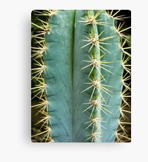 Spike Canvas Print