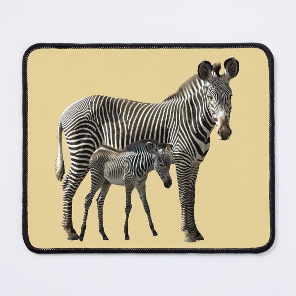 Item preview, Grevy Zebra Mama with baby in Kenya / Africa designed and sold by TShirtsundMehr.