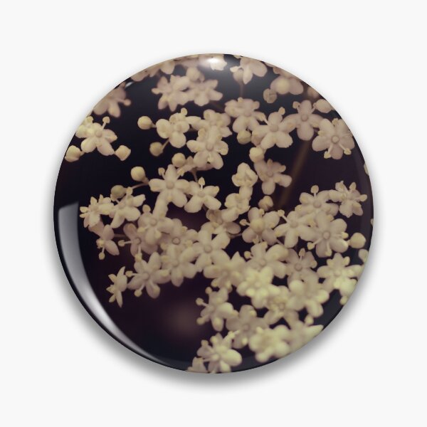 Item preview, Queen Ann Lace flower photography - delicate white floral designed and sold by Ingrid Beddoes Photography.
