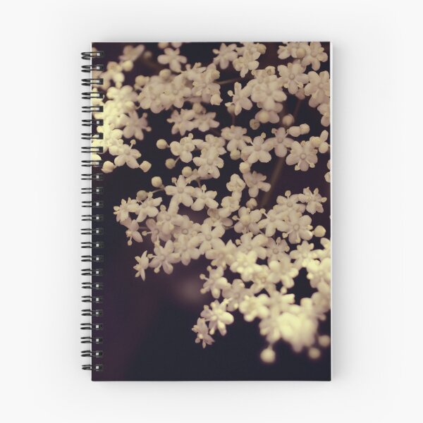 Item preview, Queen Ann Lace flower photography - delicate white floral designed and sold by Ingrid Beddoes Photography.