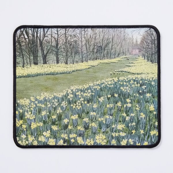 Item preview, Yellow Daffodils in Nowton Park Painting designed and sold by Tom Crittenden.