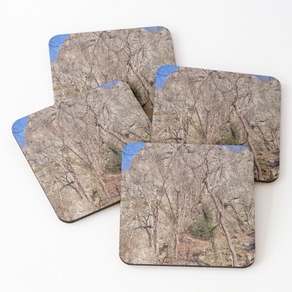Item preview, Bodetal, Thale, Harz, Saxony-Anhalt, Germany designed and sold by Torsten  Krüger.