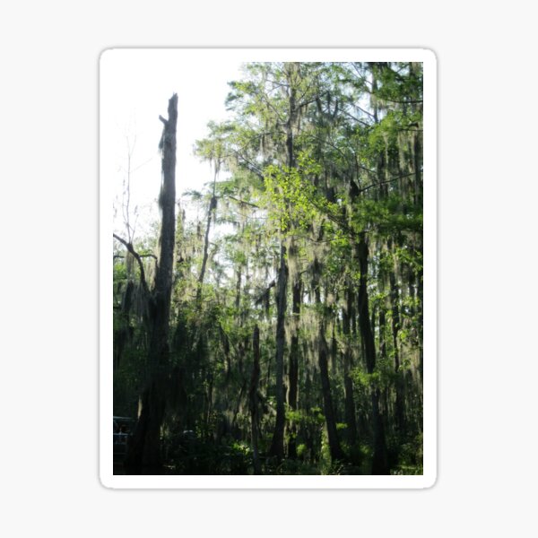 Item preview, Louisiana Swamp designed and sold by Beccasax.