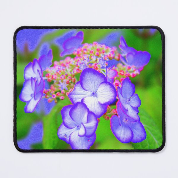 Item preview, Fanciful  designed and sold by coffeebean.