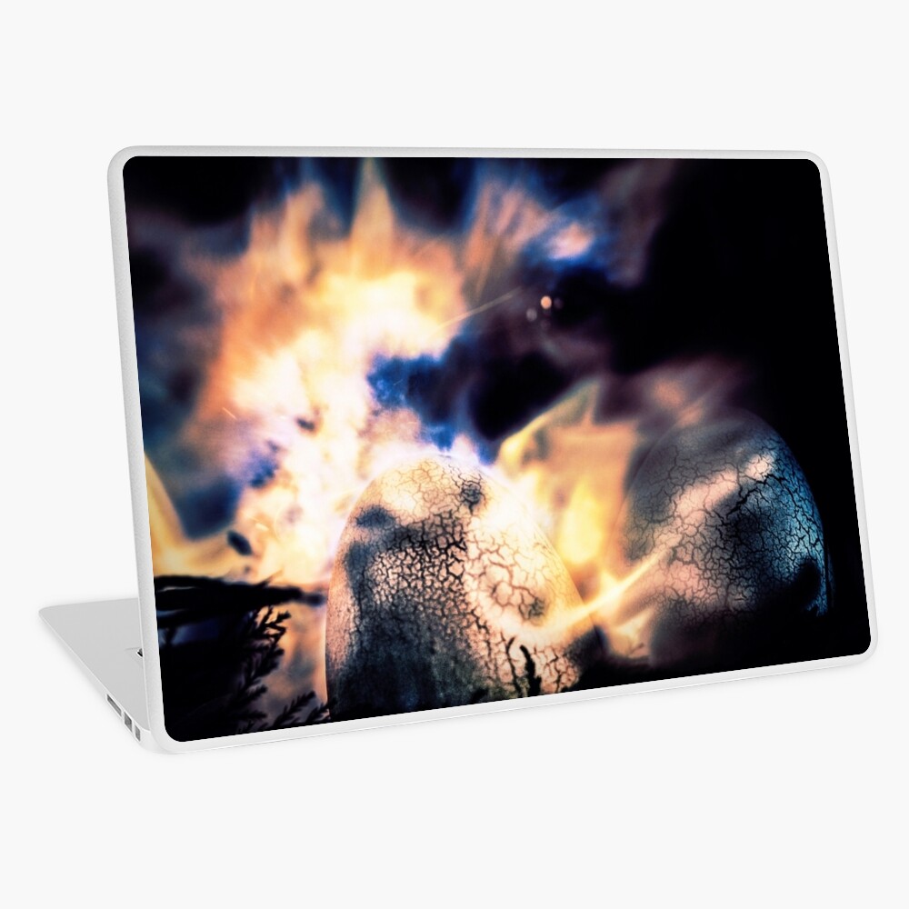 Item preview, Laptop Skin designed and sold by DBailey.