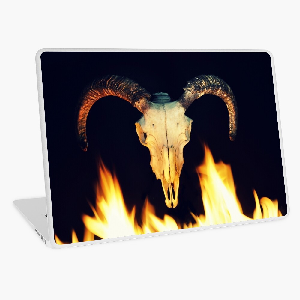 Item preview, Laptop Skin designed and sold by DBailey.