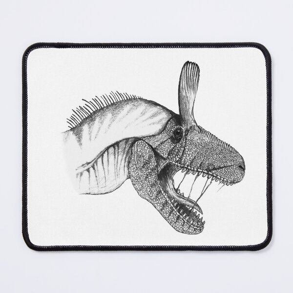 Item preview, Cryolophosaurus Drawing designed and sold by Ancient Realms.