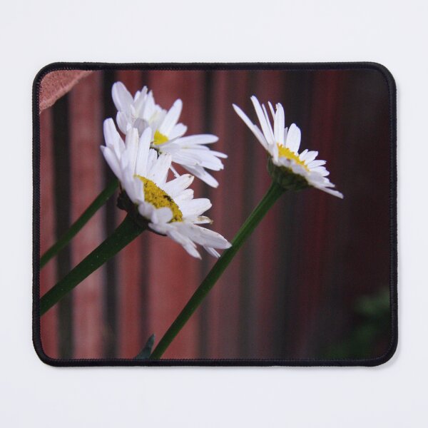 Item preview, Hello Neighbour designed and sold by coffeebean.