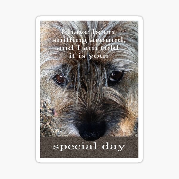 Item preview, For special day, Border terrier. designed and sold by Mary Taylor.