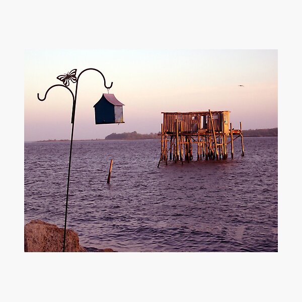 Cedar Key Fish House at Sunset Photographic Print