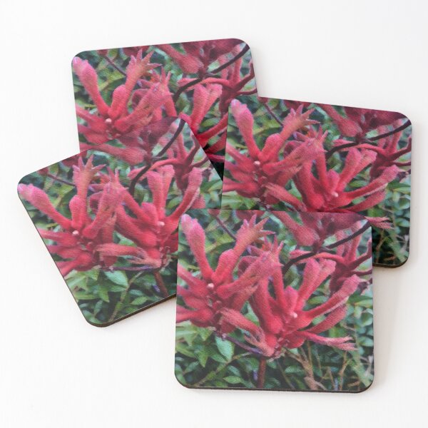 Item preview, Kangaroo paw,  designed and sold by Faerieglen.