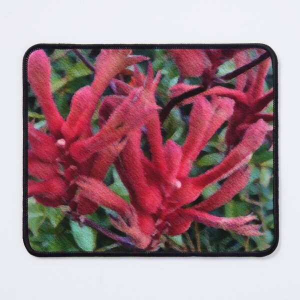 Item preview, Kangaroo paw, designed and sold by Faerieglen.