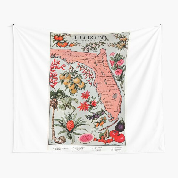 "Vintage Map of Florida (circa 1917). Historical Map of Florida. HQ 