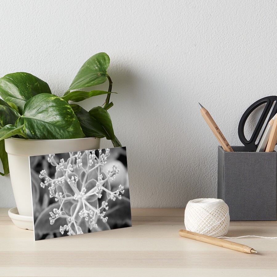 Item preview, Art Board Print designed and sold by coffeebean.