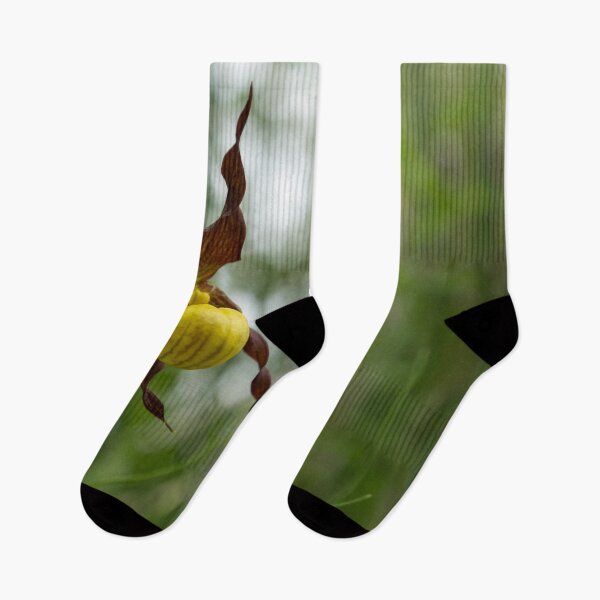 Item preview, Finding Forest Treasures - Venus Slipper Orchid in Yellow and Brown designed and sold by Georgia Mizuleva.