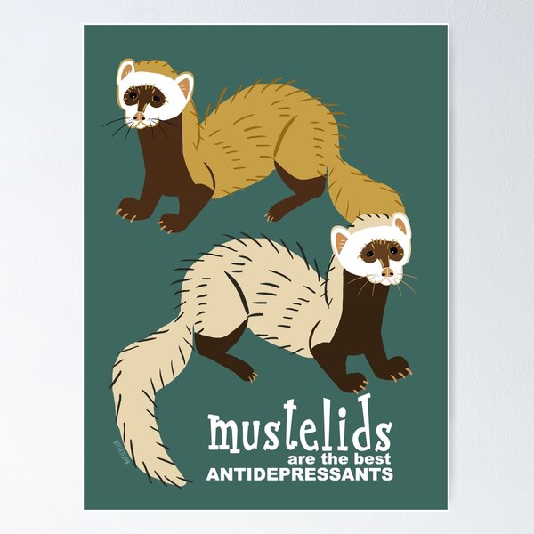 Item preview, Mustelids are the best antidepressants #2 designed and sold by belettelepink.