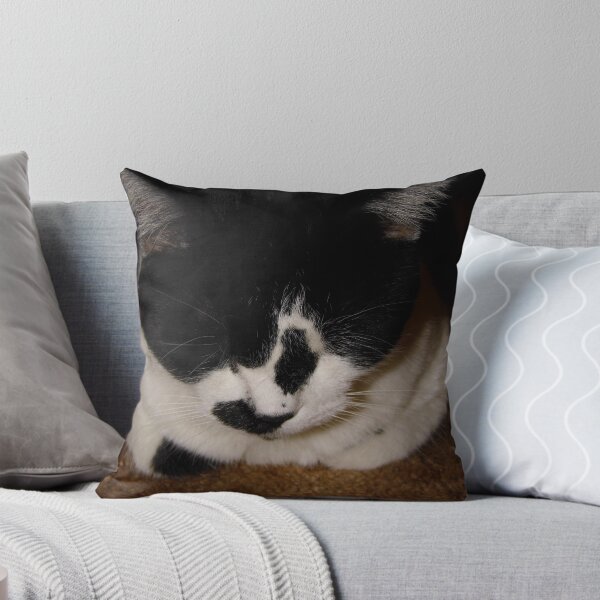 Item preview, Quincy Sleeping designed and sold by WildestArt.