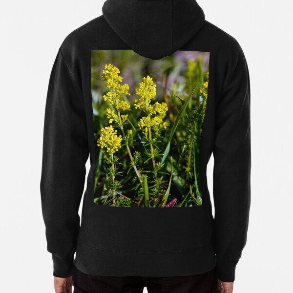 Galium Verum (Lady’s Bedstraw), Inishmore, Aran Islands Pullover Hoodie